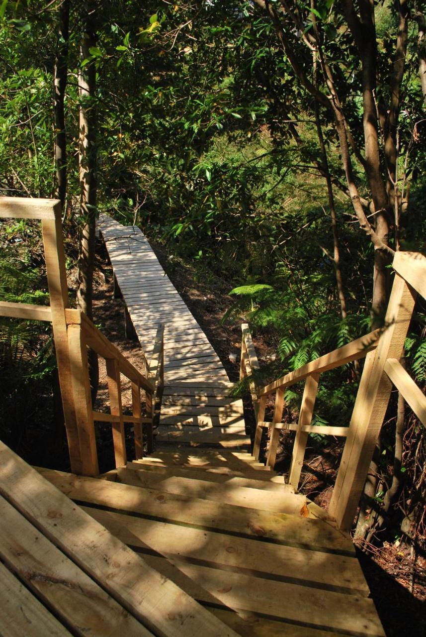 Chaitén Chucao Bosque Y Cabanas מראה חיצוני תמונה